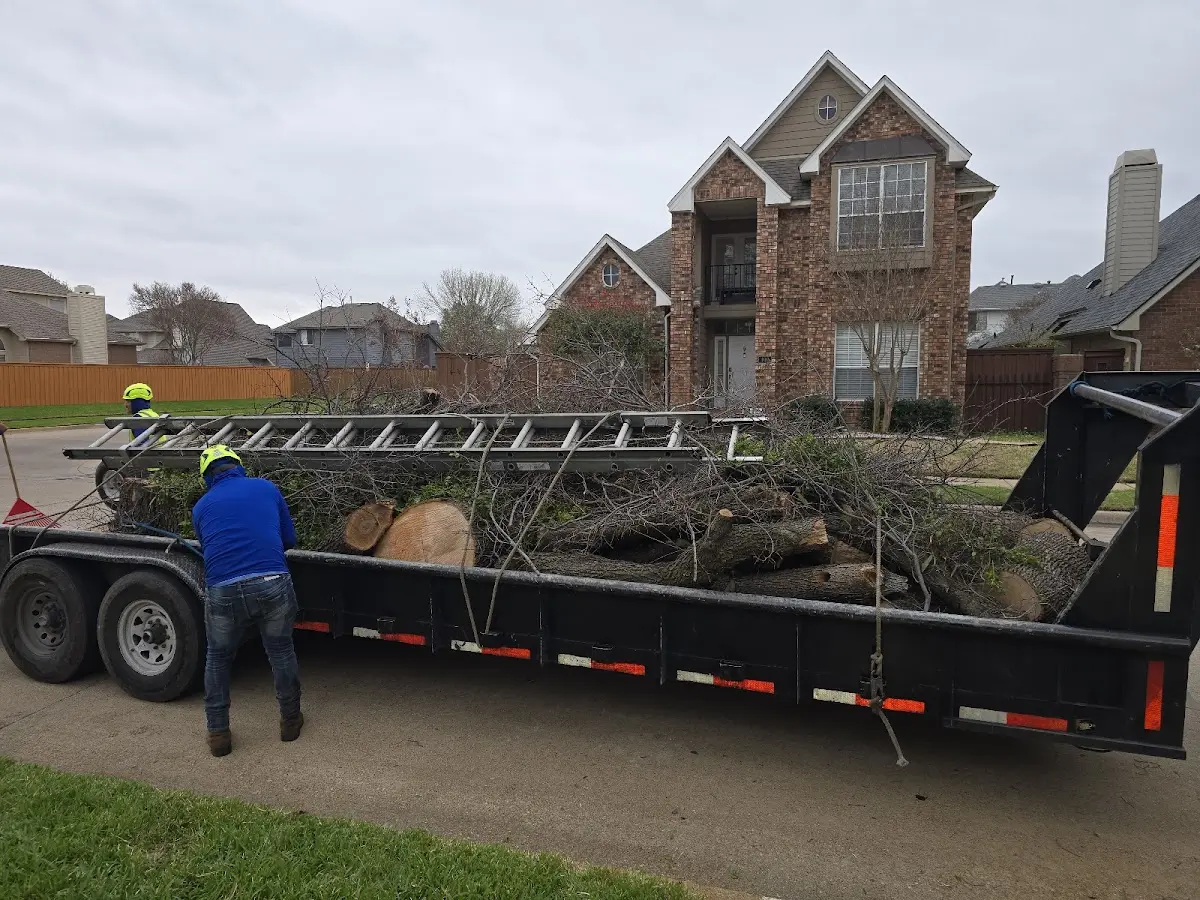 Expert Tree Fertilization with proper safety equipment in Stoutsville